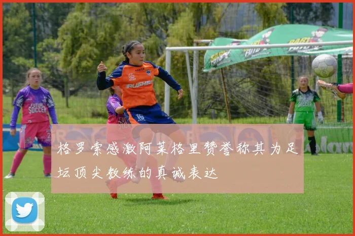 格罗索感激阿莱格里赞誉称其为足坛顶尖教练的真诚表达