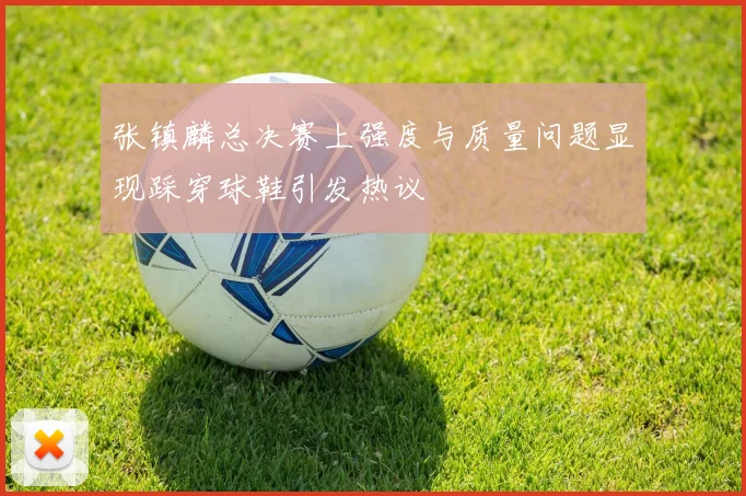 张镇麟总决赛上强度与质量问题显现踩穿球鞋引发热议